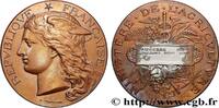 FRANCE Médaille, Concours régional agricole AGRICULTURE 89 - Auxerre 1893 (51mm, 60,12g, 12h) -