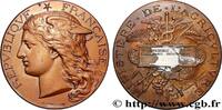 FRANCE Médaille, Concours régional agricole AGRICULTURE 89 - Auxerre 1893 (50,5mm, 60,09g, 12h) -