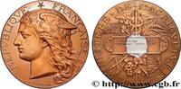 FRANCE Médaille, Concours régional agricole AGRICULTURE 89 - Auxerre 1893 (50,5mm, 59,66g, 12h) -