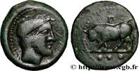 Classic 1 (480 BC to 400 BC) Trias SICILY - GELA Géla, Sicile c. 420-405 AC. (18,5mm, 3,10g, 6h) -
