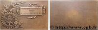 FRANCE Plaquette, Automobile-Club bordelais pour l’excurs AUTOMOBILES ET VOITURES - PILOTES ET INVENTIONS 33 - Bordeaux 1902 (32mm, 45,45g, 12h) -