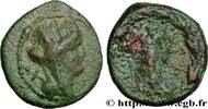 Hellenistic 2 (188 BC to 30 BC) Unité PHOENICIA - TRIPOLIS Phénicie, Tripolis 13-14 (19,5mm, 6,41g, 12h) -