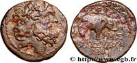 Hellenistic 2 (188 BC to 30 BC) Unité SYRIA - APAMEA Apamée, Syrie c. 57-56 AC. (20mm, 7,66g, 12h) -