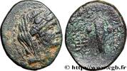 Hellenistic 2 (188 BC to 30 BC) Demi unité SYRIA - APAMEA Apamée, Syrie c. 74-69 AC. (20mm, 4,62g, 6h) -