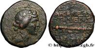 Hellenistic 2 (188 BC to 30 BC) Unité SYRIA - APAMEA Apamée, Syrie 20-19 AC. (23,5mm, 9,69g, 1h) -