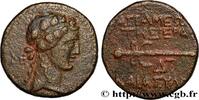 Hellenistic 2 (188 BC to 30 BC) Unité SYRIA - APAMEA Apamée, Syrie 9-8 AC. (20mm, 6,67g, 1h) -