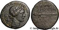 Hellenistic 2 (188 BC to 30 BC) Unité SYRIA - APAMEA Apamée, Syrie 9-8 AC. (21,5mm, 6,75g, 1h) -