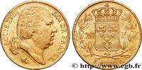 FRANCE 20 francs or Louis XVIII, tête nue LOUIS XVIII Paris 1824 (21mm, 6,45g, 6h) -