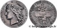FRANCE Médaille, Enseignement agricole AGRICULTURE 24 - Ginestet 1900 (51mm, 64,87g, 12h) -