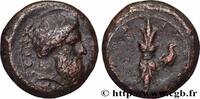 Classic 3 (350 BC to 323 BC) Hémidrachme SICILY - SYRACUSE Syracuse, Sicile c. 343 - 339/338 AC. (24,5mm, 13,91g, 3h) -