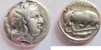 Stater 425-400 - Chr.  Lukanien şehrinde Griechenland Stater von Thourioi ... 99,00 EUR + 6,00 EUR kargo