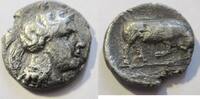 Griechenland Stater Stater von Thourioi in Lukanien Rs. Stier n. rechts stoßend -
