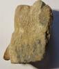 Ägypten Fragment einer Krone Ägypten: Fragment einer Krone aus Holz -