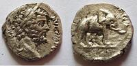 Rom Denar 197 n. Chr. Denar von Septimius Severus  Rs. Elefant n. rechts... 149.15 US$  +  40.47 US$ shipping