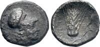 Greek - Lucania AR Diobol c. 325-275 BC - Metapontion - VF 86.79 US$  +  40.50 US$ shipping