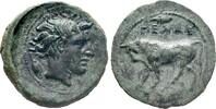 Greek - Sicily AE Tetras c. 420-405 BC - Gela - gVF