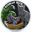 Rwanda 500 francs Cats series Russian Blue Cat Plant colored silver coin 2011 Proof