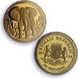 Somalia 250 shillings Elephant African Wildlife Fauna PR69 PCGS gold coin 2004 Proof