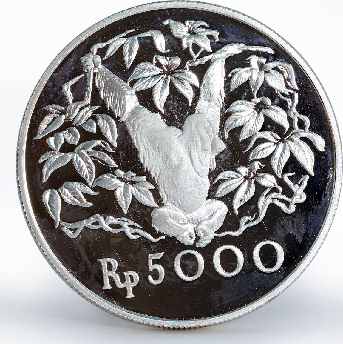 Indonesia 5000 Rupiah Orangutan Animal proof silver coin 1974 | MA