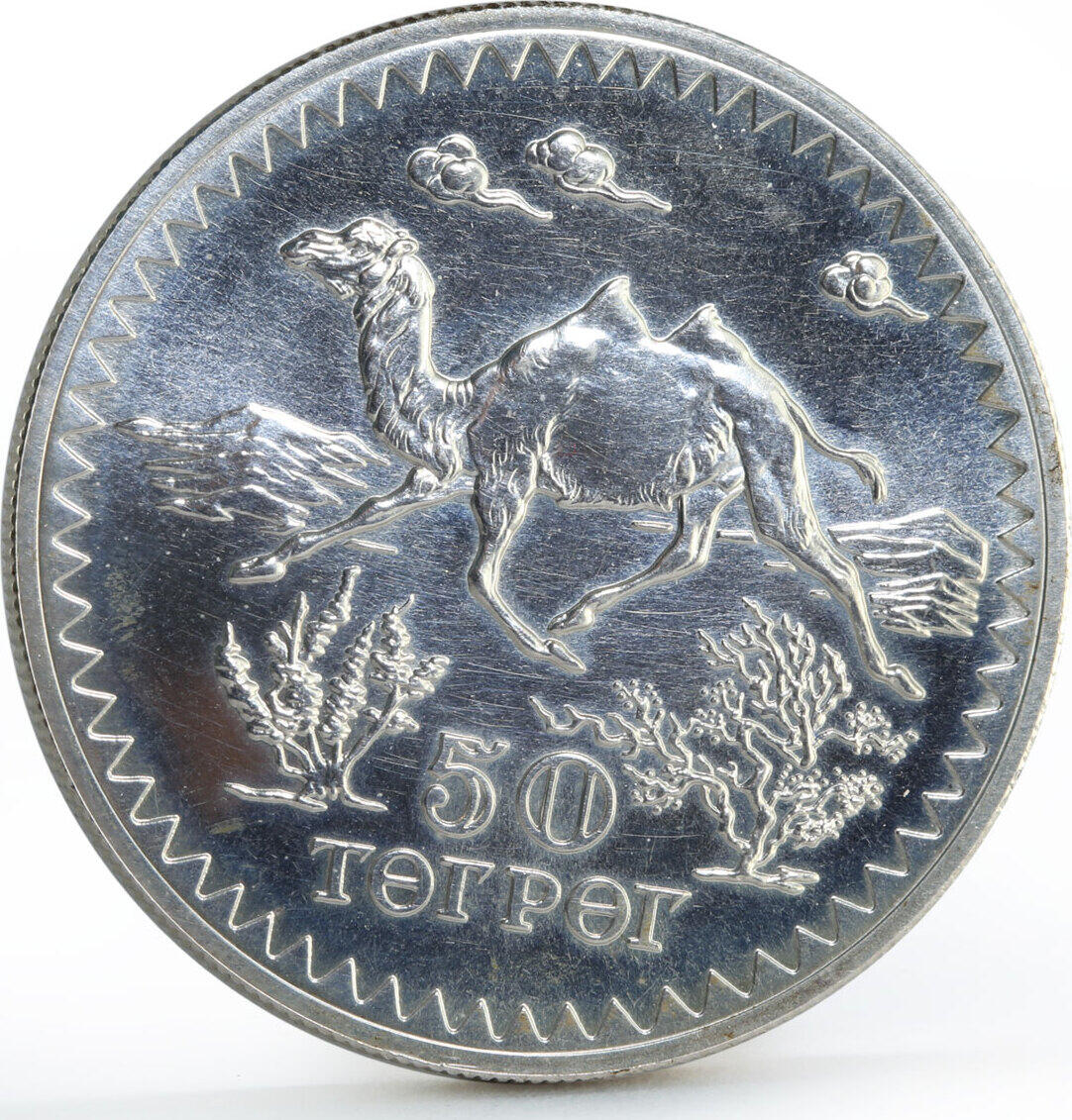 流通少‼️未使用.1976年.モンゴル人民共和国自然保護　大型直径3.8㎝.銀貨 流通少‼️未使用.1976年.モンゴル人民共和国自然保護 大型直径