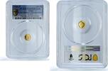 Tonga 10 paanga Tonga 10 paanga Rural Women Advancement KM-64 FAO PR 69 PCGS gold coin 1980 -