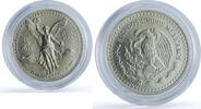 Mexico 1/4 onza 1993 Mexico 1/4 onza Libertad Angel of Independence KM-5... 628.89 元 免费寄运