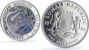 Somalia 1000 shillings Somalia 1000 shillings Elephant Coloured African Wildlife silver coin 2005 -