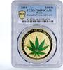 Benin 100 francs Benin 100 francs Famous World Plants Cannabis Sativa PR69 PCGS Gilt CuNi 2010 -