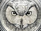 Ivory Coast 5000 Francs 2021 OWL Edition Signature 2 x 5 oz Silver Coins Set