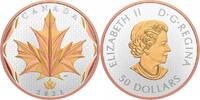 Canada 50$ Canada 2021 50$ Maple Leaves in Motion Yellow and Rose Gold Plating Pure Silver -