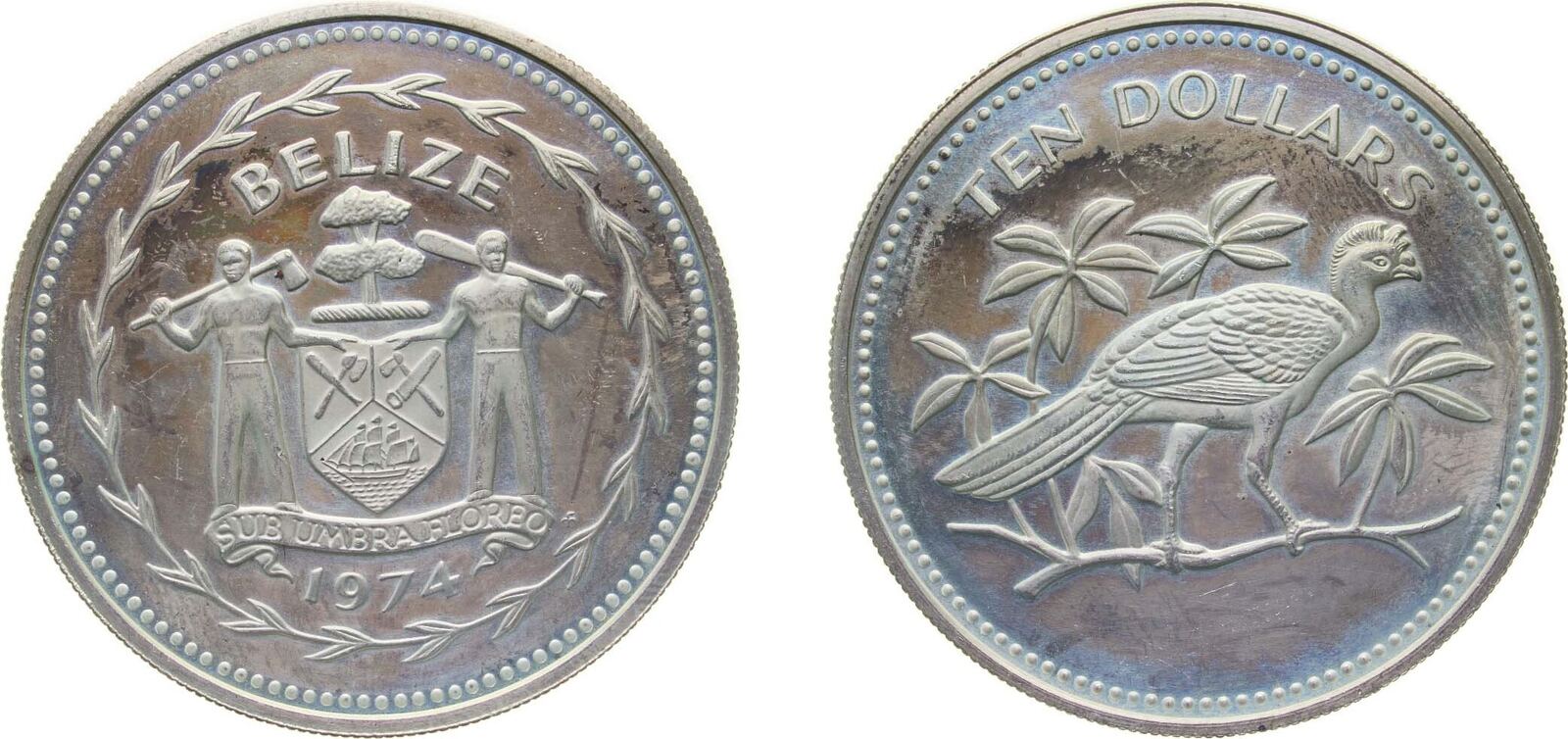 The Fantastic Kingdom」◆レア物50年前の1974年 1974 CANADA Queen Elizabeth II Olympics Montreal ZEUS Silver $10