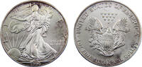 United States 1 Dollar United States Federal republic 1996 1 Dollar American Silver Eagle, 1 Onza -