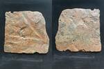 Schweden 2 Daler Fredrik I. 1720–1751. Danish Shipwreck Nicobar which sank 1783. -