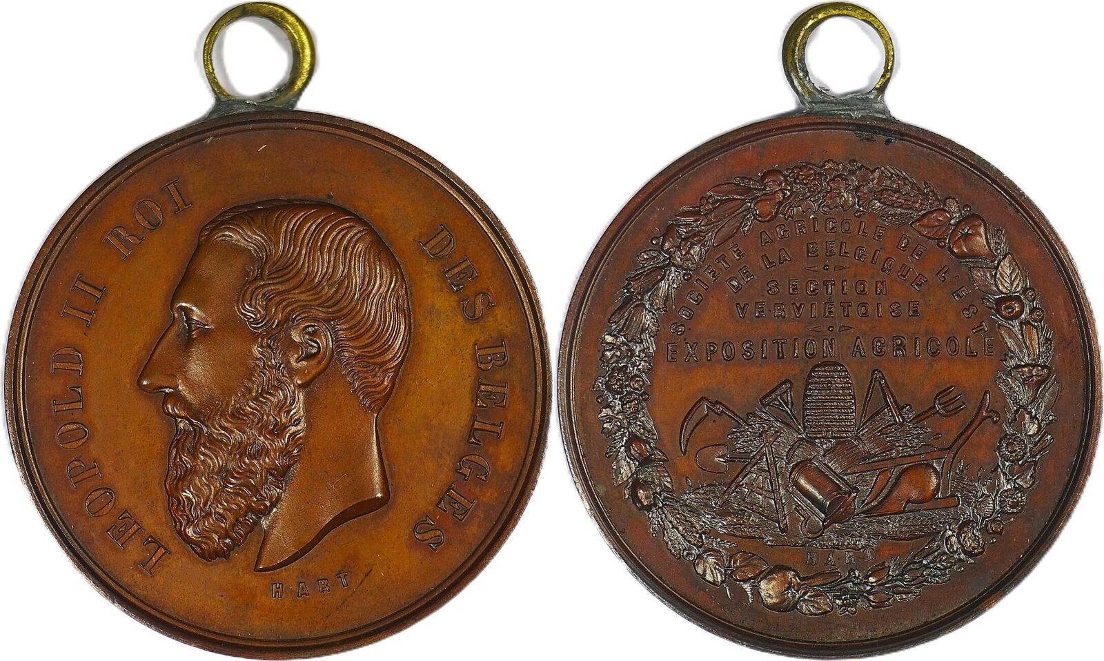 historical-medal-n-d-leopold-ii-agricultural-society-of-the-east-of