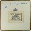 Netherlands Historical medal 1934 Passing of Queen Mother Emma - M.P.J Fleur - Original box aUNC (Spots)