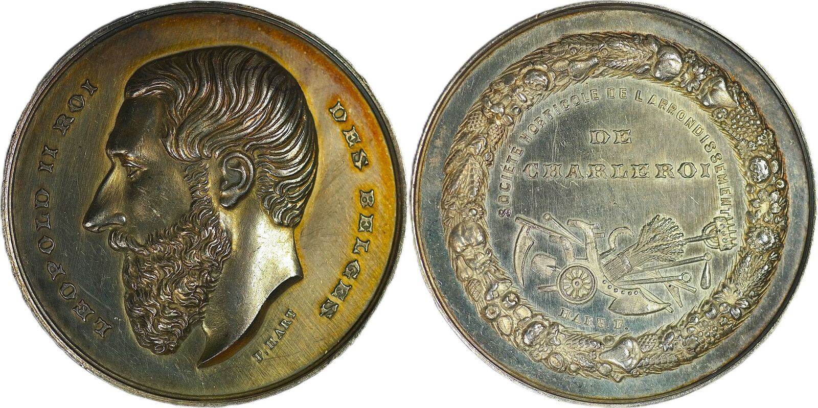 belgium-historical-medal-n-d-leopold-ii-soci-t-horticole-de-l