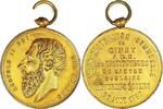 Belgium Historical medal Leopold II – King of the Belgians / School Inspection in Ciney -