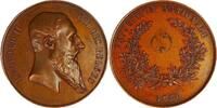 Belgium Historical medal Leopold II – King of the Belgians / National Exhibition / Wiener -