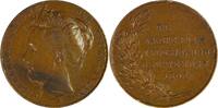 Netherlands Historical medal Inauguration Queen Wilhelmina - H. Baars / Menger -