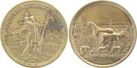 Australien Medaille Victoria 1837-1901. -
