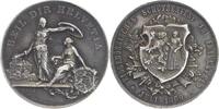 Schweiz Medaille (von Hugues Bovy, Genf) 1890 Frauenfeld/Thurgau vorz&uuml;gl... 1,014.29 元  ＋  70.22 元 运费