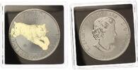 5 Dollar Kanada Luchs Goldene Enigma mit Gold und Ruthenium veredelt 999 Silber -