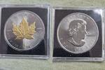 5 Dollar Kanada Goldene Enigma mit Gold und Ruthenium veredelt 999 Silber -