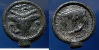 Gaule - Kelten - Celtic Potin au bucr&acirc;ne 1e BC R&egrave;mes - Remi - LT.8351 SS... 75.22 US$  +  11.57 US$ shipping