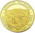 Somalia 1000 Schilling 2020 African Wildlife,RAR! Auflage 100 Stück Proof (PP) Proof