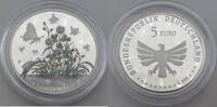 Bundesrepublik Deutschland / BRD 5 Euro Serie: Wunderwelt Insekten - 1. Ausgabe - Insektenreich -