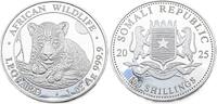 Somalia 100 Schilling / 1 Oz 2025 Afrikanische Tierwelt - Leopard Polier... 104.10 US$  +  23.13 US$ shipping