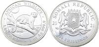 Somalia 100 Schilling / 1 Oz 2021 Afrikanische Tierwelt - Leopard Polier... 104.10 US$  +  23.13 US$ shipping