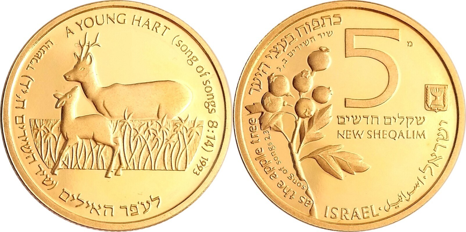 gold-5-shekel-1993-young-hart-and-apple-tree-israel-uncirculated