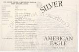 USA 1 Dollar 1999 P American Eagle mit Box und Zertifikat Proof